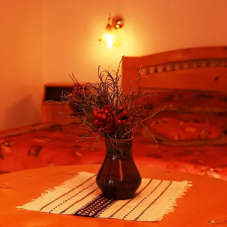Oskolok Dovbusha Mini-hotel *