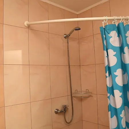 Oskolok Dovbusha Mini-hotel Otel *