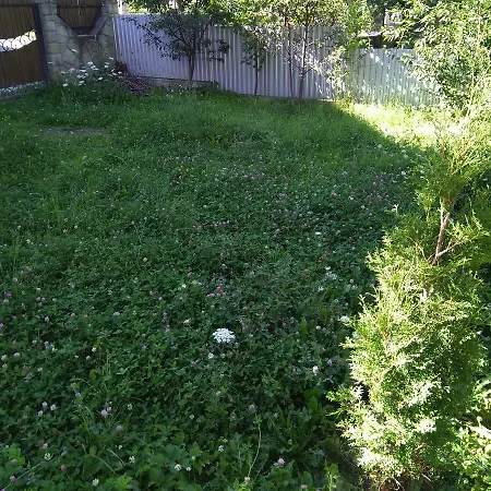 Oskolok Dovbusha Mini-hotel Yaremche