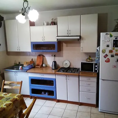 Oskolok Dovbusha Mini-hotel Otel *