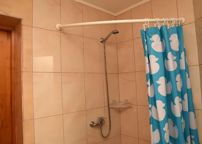 Oskolok Dovbusha Mini-hotel Otel *