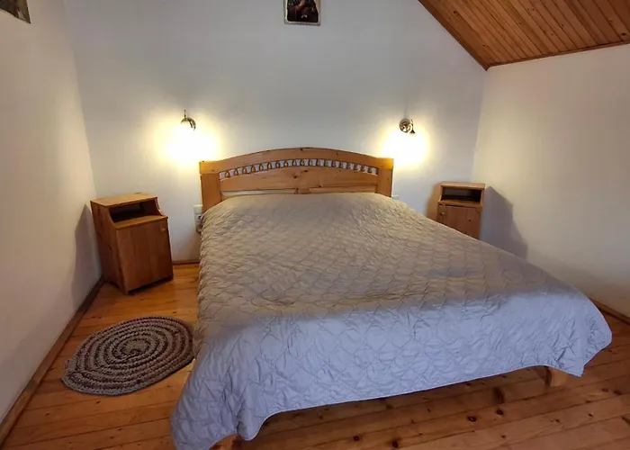 Oskolok Dovbusha Mini-hotel *