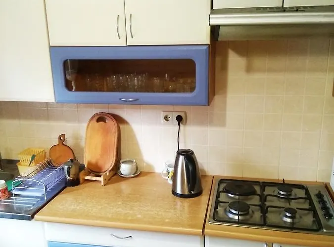 Oskolok Dovbusha Mini-hotel *