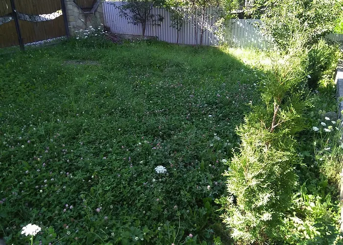 Oskolok Dovbusha Mini-hotel Yaremche