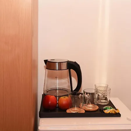 ホテル Oskolok Dovbusha Mini-hotel ヤレムチャ
