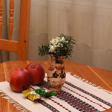 Oskolok Dovbusha Mini-hotel ホテル ヤレムチャ